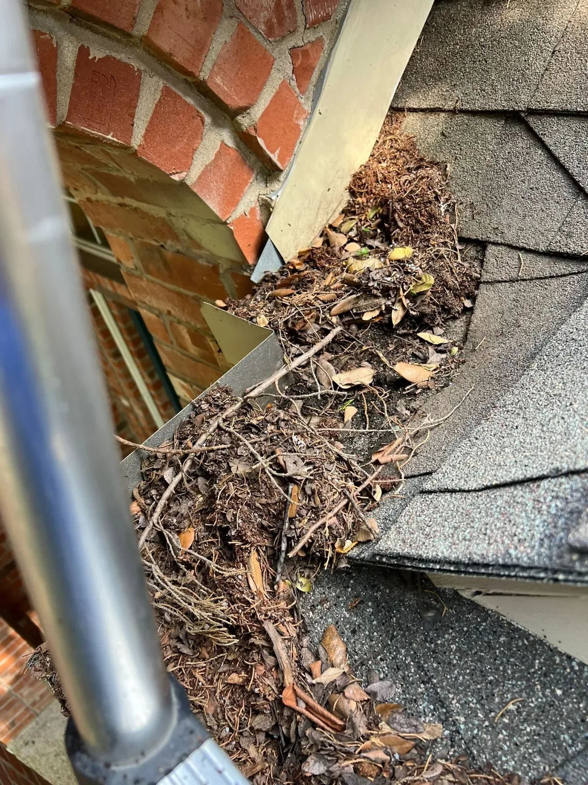 Heavy leaf, twig and organic debris buildup in a residential gutter