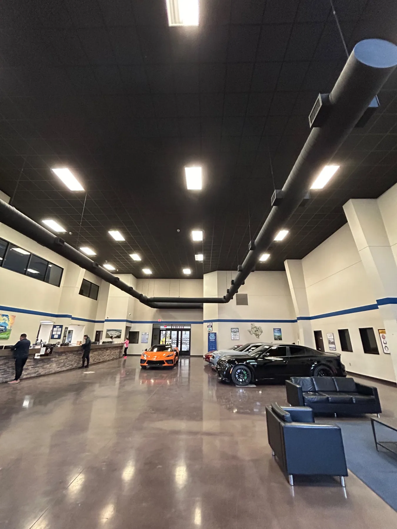 Wide commercial interior showing the full high-dusting environment
